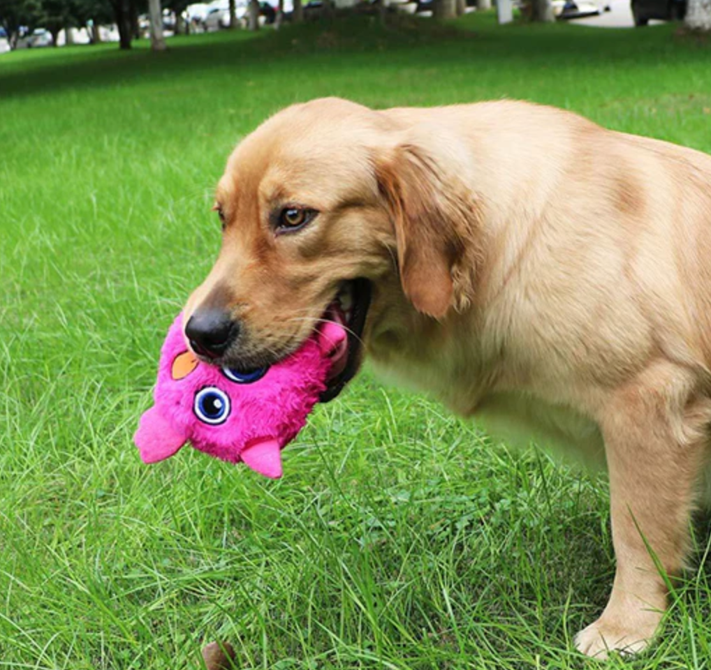 Interactive toys for dogs